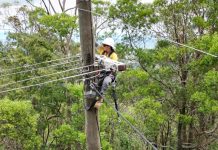 Energex and Ergon call for 185 new apprentices