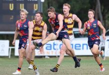 Tigers taught a lesson