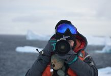 Antarctic adventures