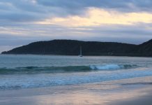 Man dies while diving in waters off Double Island Point