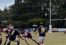 Dolphins on top but just