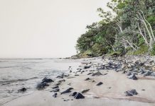 Get ready for this year’s Noosa Open Studios Art Trail