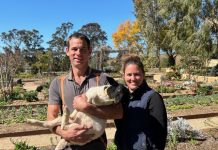 The dream comes to reality