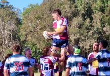 Dolphins last chance to final