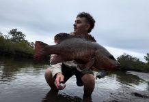 Perch back on the menu