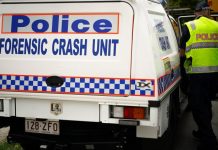 Sunshine Coast man dies after car collides with truck