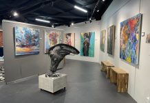New Noosa Art Gallery sets grand opening date