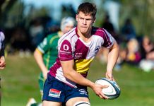 Dolphins dominate in grand final victory