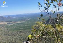 LifeFlight winches woman after medical episode on mountain