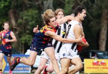 Tigers down in a thriller