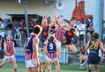 Tigers smashed by a red hot gorilla outfit