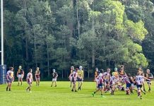 Dolphins play hard as finals near