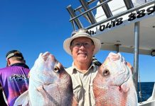 The freezers are full