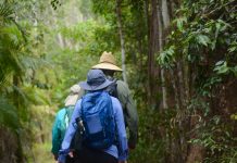 Great Noosa Trail Walk – so much more than just a walk