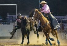 Rodeo thrills and spills