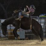 Rodeo_432047_02.jpg