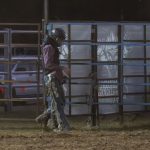 Rodeo_432047_06.jpg