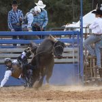 Rodeo_432047_08.jpg