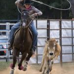 Rodeo_432047_11.jpg