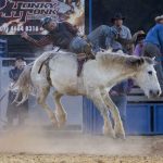 Rodeo_432047_13.jpg