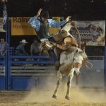 Rodeo_432047_17.jpg