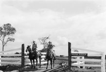 New cultural plan begins