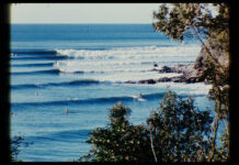 The Noosa to Noarlunga tour