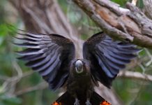 Connecting to the environment