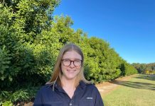 Macca market goes nuts