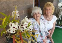 Orchid show 40th anniversary