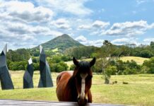 What is a home, forum asks