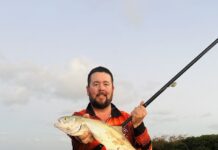 Nearly no crab november