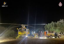 LifeFlight airlifts teenager after snake bite on K’gari