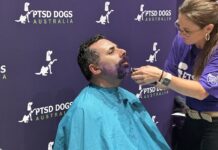 Sunshine Coast goes purple to raise funds for PTSD dogs