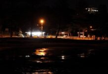 Lights off for turtles