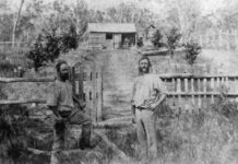 Hundreds expected for Stehbens reunion