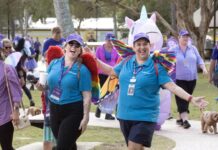 Winged walkers take to the foreshore