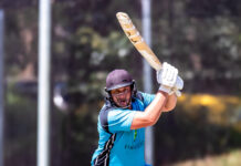 Batters audition for big bash