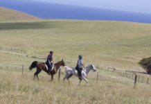 TQ 2024 a success story for the generations