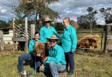 The call of the Highlands