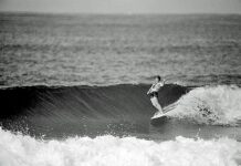 A fond farewell to Phyllie