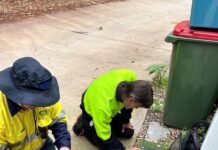 Digital water meters save Unitywater customers $3.8 million