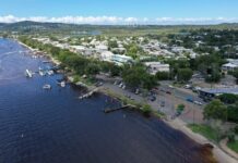 Noosaville Foreshore: Join a community pop up session