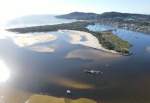 Doggy Beach project a howling success at IPWEA awards