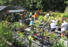 Plant sale at the Gardens