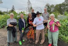 Gardening theft brings warm community response