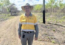 Power poles withstand bushfire in Queensland trial