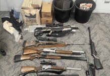 Firearms seized from Sunshine Coast property
