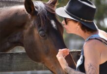 Doonan’s Hoofbeats Sanctuary faces closure