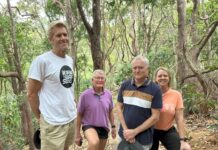 Lookout adventure that will take your breath away